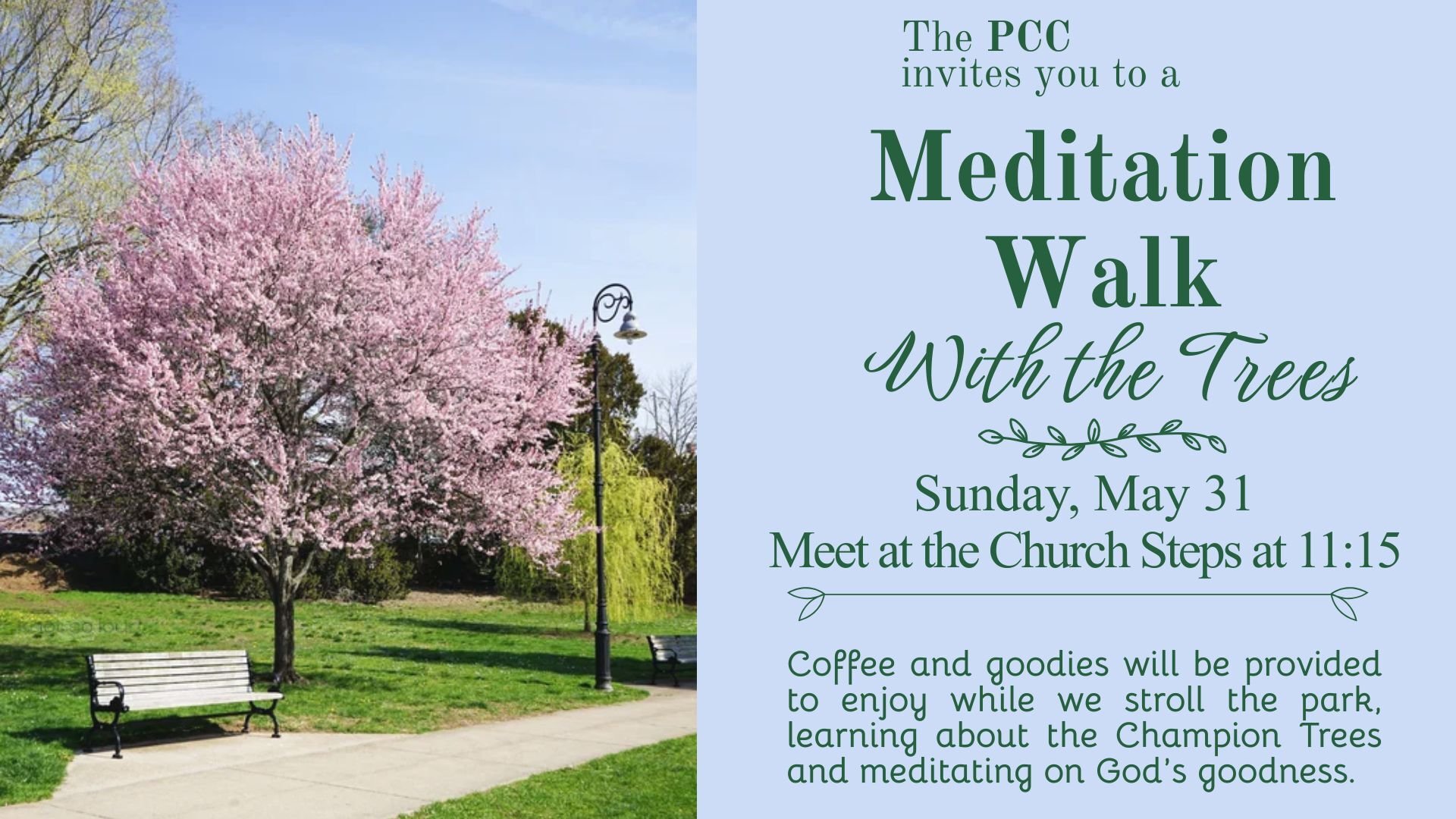 PCC Fall Walk (5)