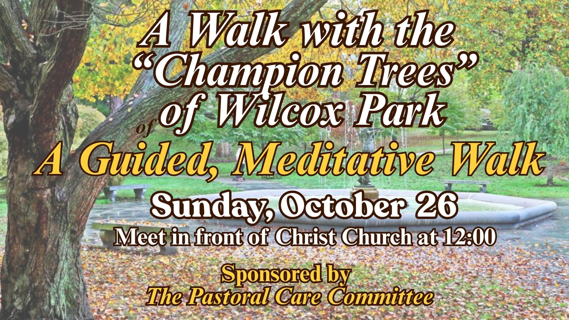 PCC Fall Walk